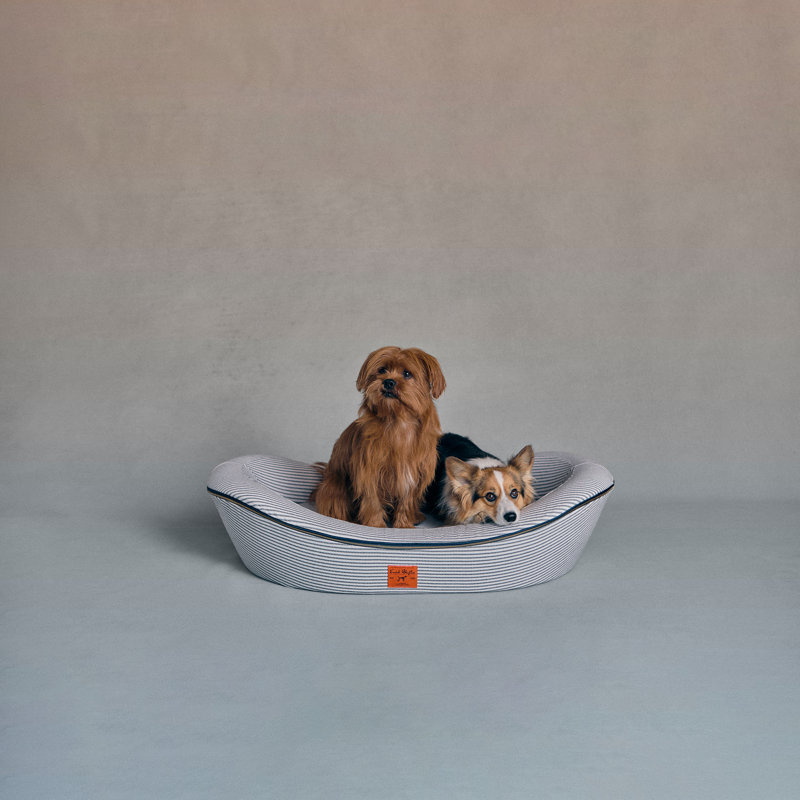  Lit orthopédique pour chien - doublure imperméable, tiques de sang bleu, Grand (H 10,5 po x l 31 po x P 42,5 po)