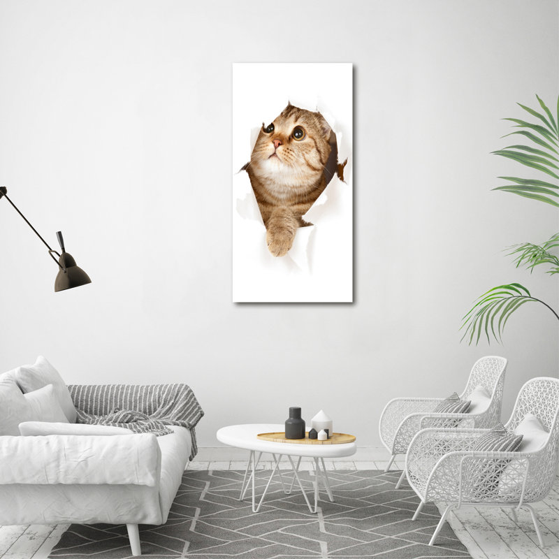 Cat - Wrapped Canvas Print