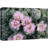 Cactus Desert " Desert Southwest Ball Cactus Pink "-99543229