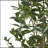 ARTIFICIAL LAUREL TREE-905895969