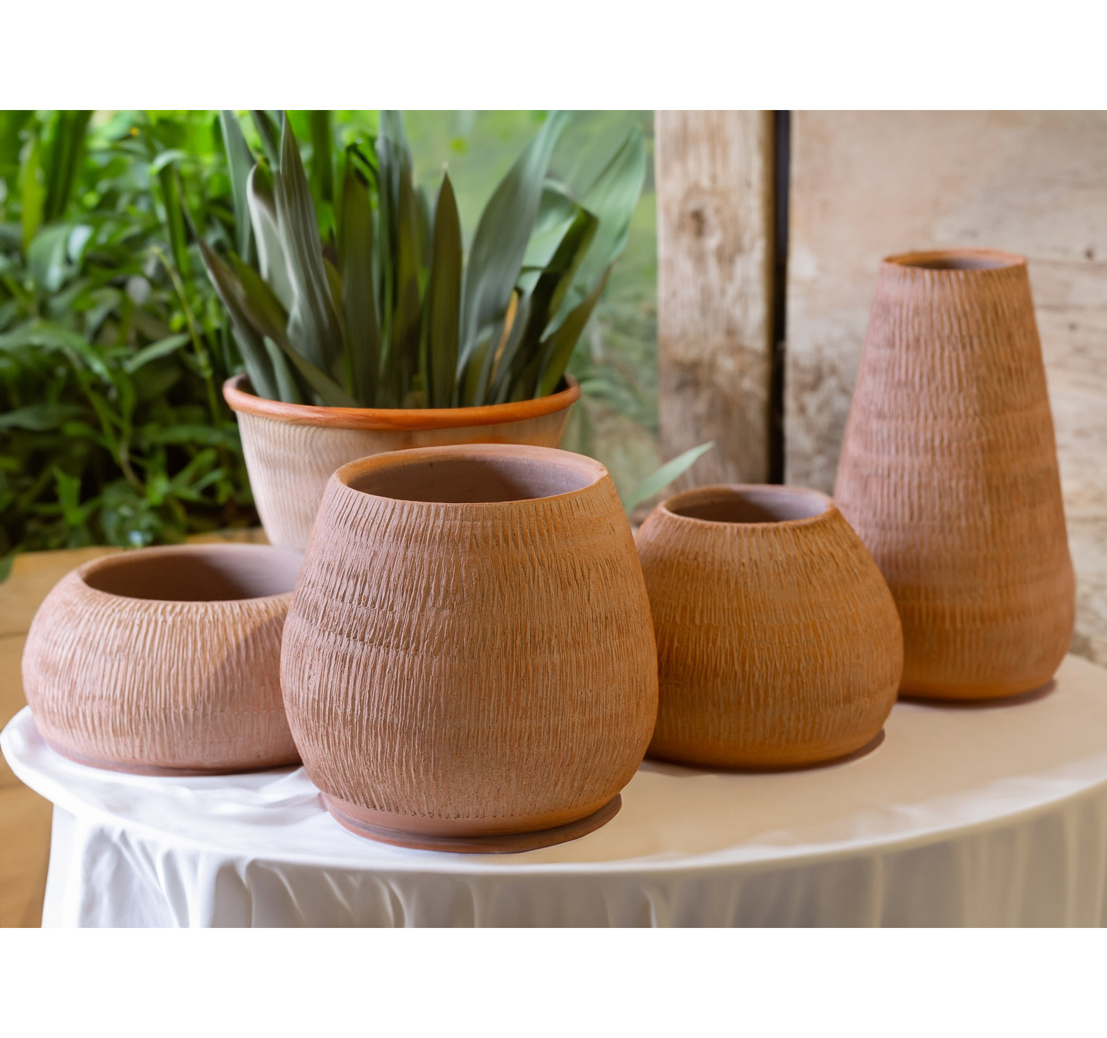 Agosto 8" Pot Planter