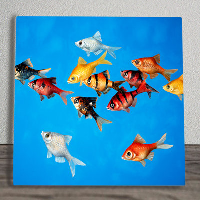 C.WILKINSON Coastal Wall Decor