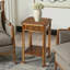 Moyer Side Table with Storage-64207698