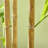 70.75 " H Faux Bamboo Tree in Cement Pot