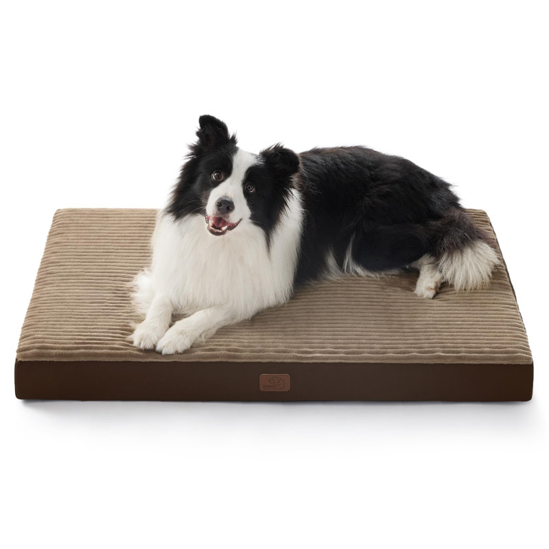 Lit pour chien ComfyFleece Cosy Crate, Café/crème, Très grand (H 3,3 po x l 41 po x P 27 po)