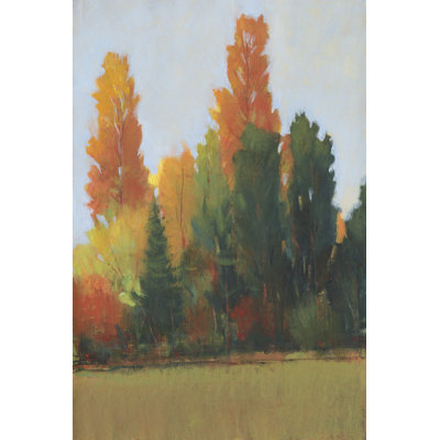 Couleurs d'automne I