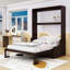 Grand lit escamotable en bois avec coussin intégré, conception d'armoire pliable-365845034