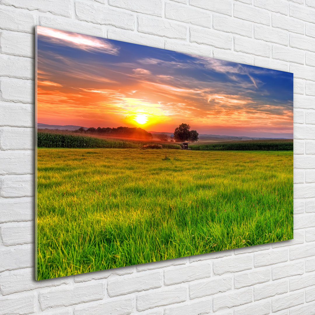 Glasbild Sunset Meadow