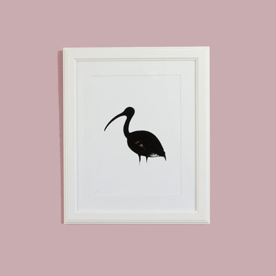 Mounted Ibis - Print