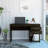 Jayleene Computer Desk-1516231447