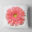 Marguerite simple sur fond blanc - coussin à imprimé floral-29600358-29600362