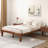 Pastora Full / Double 14'' Platform Bed-1794983880