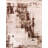 Daan Oriental Indoor Rug-36208459