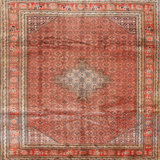 Oriental Indoor Rug