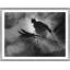 Ski-Jumper Giclee Print by Getty Images