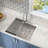 25" L x 22" W Drop-in Kitchen Sink with Accessories