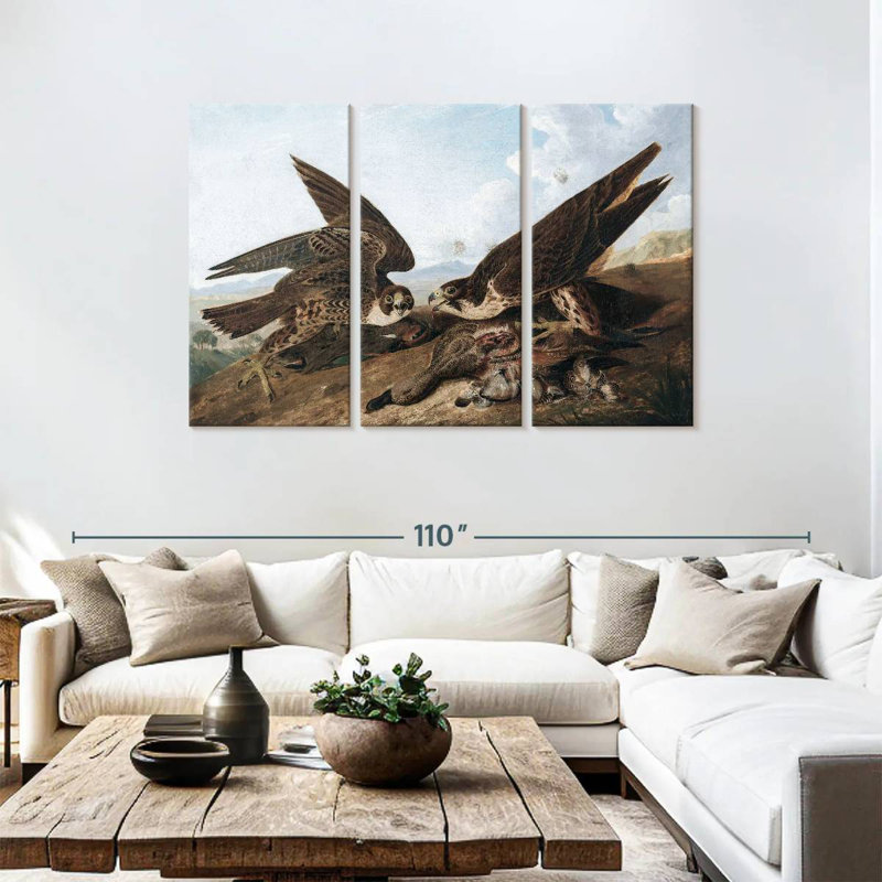 Brampt Peregrine Falcons, 48" H x 74" W