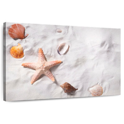 Beach seashells and starfish Aletra