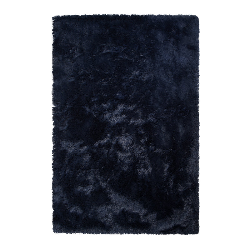Black Washable Shag Area Rugs Non-Slip Fluffy Shag Plush Fuzzy Shaggy Rug for Living Room, Bedroom, Home Decor