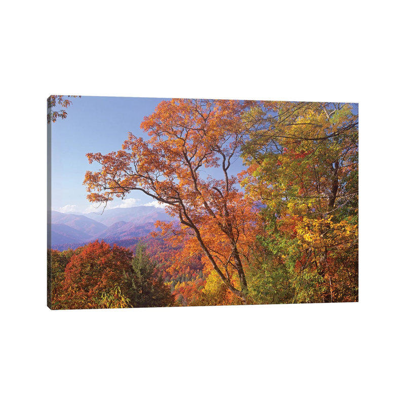 Great Smoky Mountains From, Blue Ridge Parkway, North Carolina by Tim Fitzharris - Wrapped Canvas Print