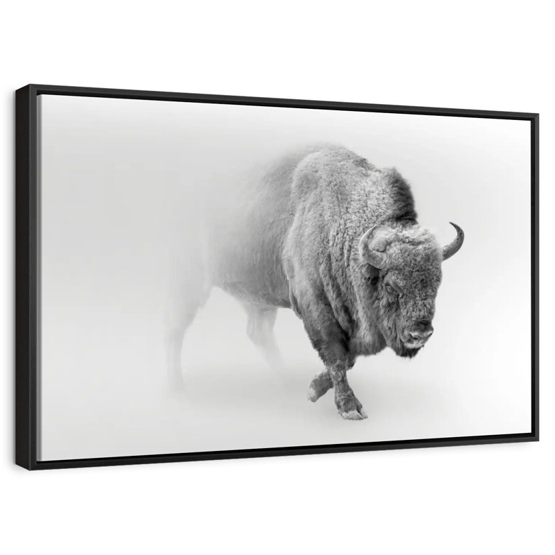 Wild Bison, 37" X 25", Floating Frame Black
