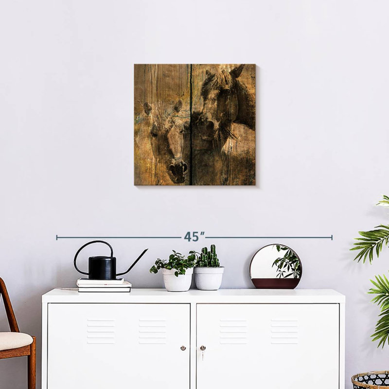 Chevaux gris anthracite
