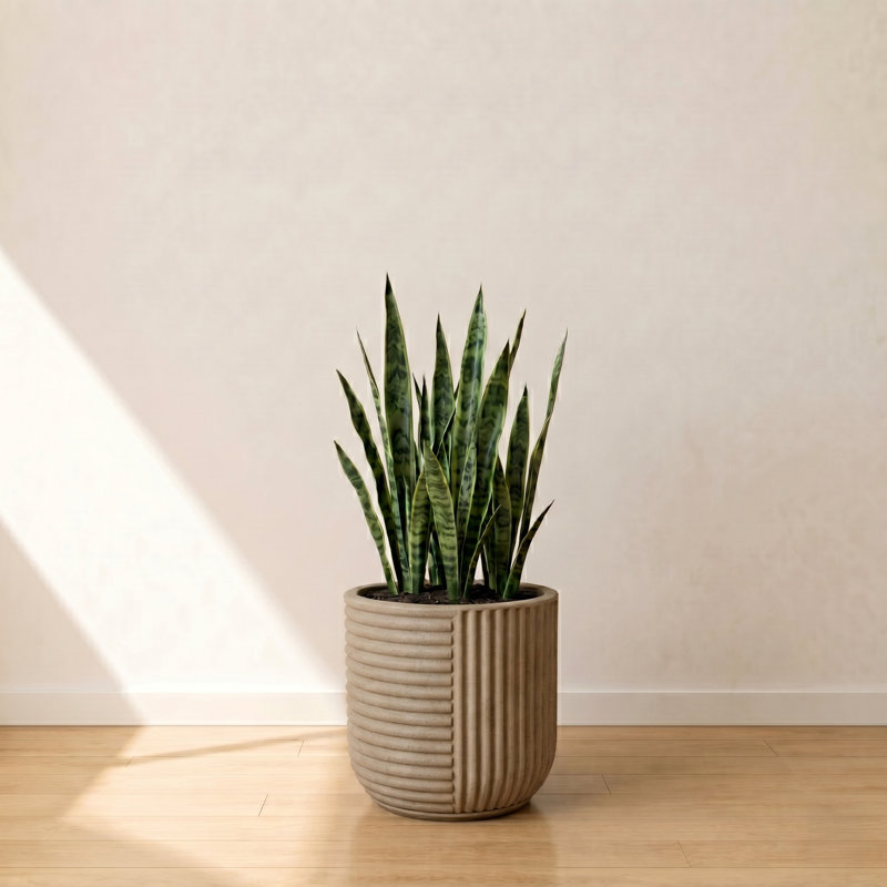 Johnmason ECOBO 13.4 inches Eco-Friendly Round Pot Planter, Linhas Indoor/Outdoor Four Season Use, Light Brown