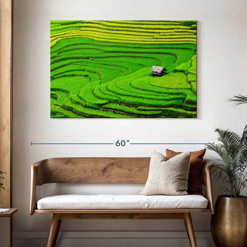 Champ de riz Alvord Ha Giang