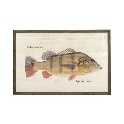 Speckled Pavon Print