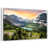 Floating Frame White