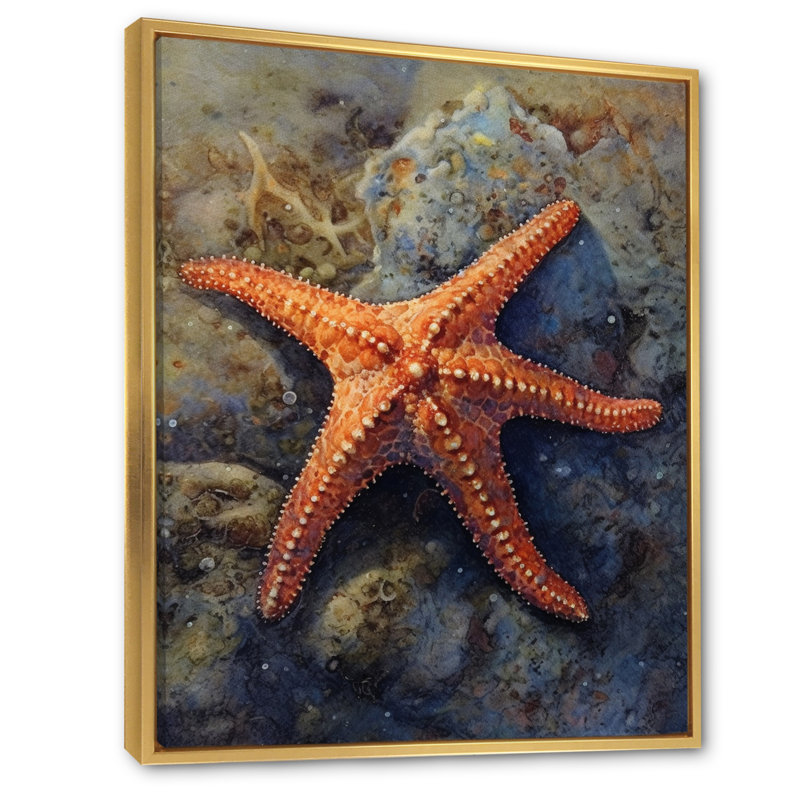 Étoile de mer Spinny I sur toile, H 32 po x l 16 po x P 1 po, Cadre flottant doré