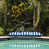 Americana Nautical Stripe