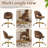 Task Chair Office Desk Chair Make Up Chair With Wheels-100006633-108658028