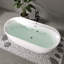 67" Freestanding Whirlpool Massage Bathtub, Acrylic Soaking Jetted Tub with Hydromassage Spa, LED Colour Therapy Ligh