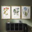 Nature imprimé Botanicals vii - impression sur mesure encadrée de qualité supérieure - 3 pièces-581659074-581659075