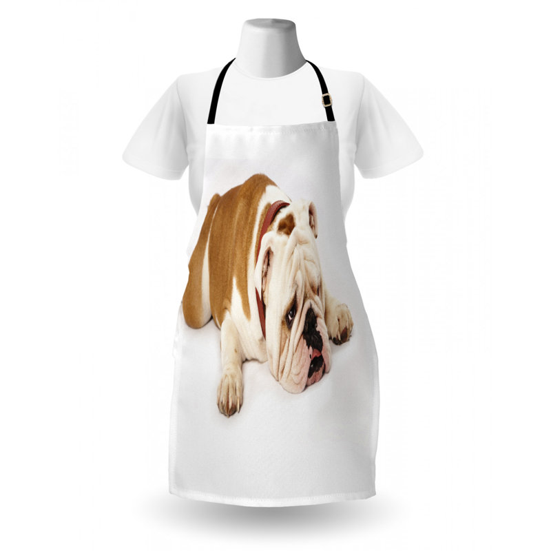 Bib Apron