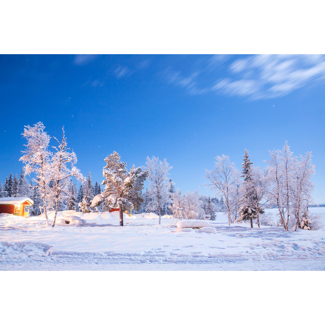 Winter Garden At Night von Vichie81 - Leinwanddrucke auf Leinwand