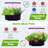 EAGLE PEAK Hydroponics Growing Kit Light