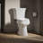 Highline 1.28 GPF Water Efficient Elongated Two-Piece Toilet (Seat Not Included)-10978613-108571196
