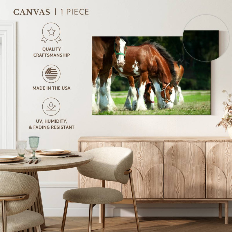 Brampt Clydesdale Horses, H 20 po x l 30 po