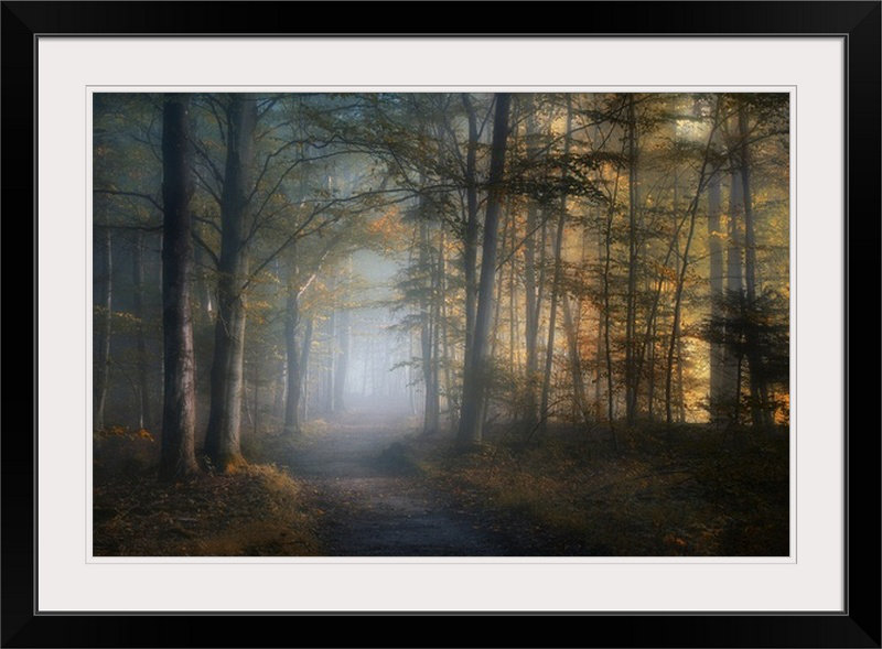 «Straub Autumn Symphony» par Norbert Maier - photographie, Cadre noir, H 32 po x l 44 po x P 1 po
