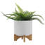Pot à fleurs 8 "à chevrons avec support-613785930