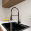 Pia Ricco Pull Down Kitchen Faucet