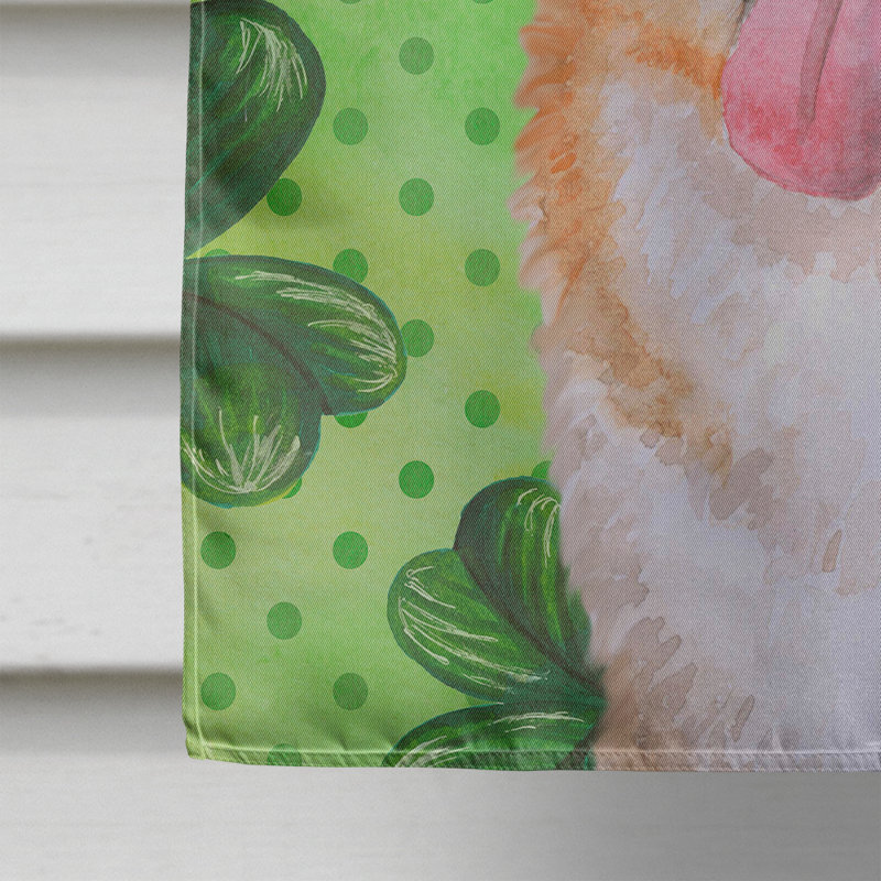 40 x 28 po en polyester à 2 côtés de la st patrick drapeau maison, Akita brun / blanc