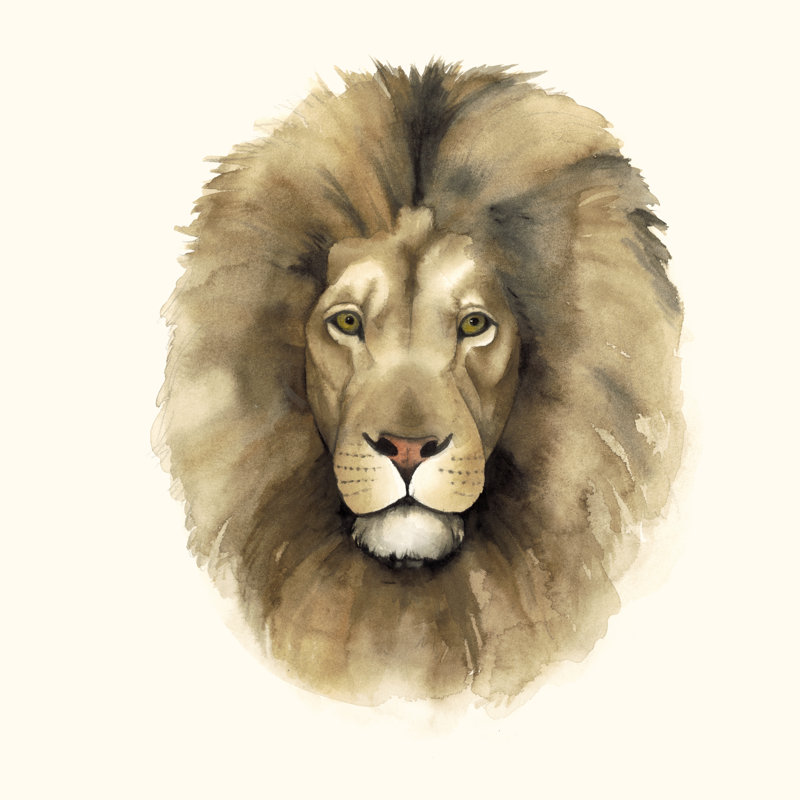 Safari Cat II by Grace Popp - Wrapped Canvas Painting, 76cm H x 76cm W