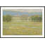 «Summer Pasture I» par Stephen Calcasola - reproduction d'art encadrée-1377222891-1421618151