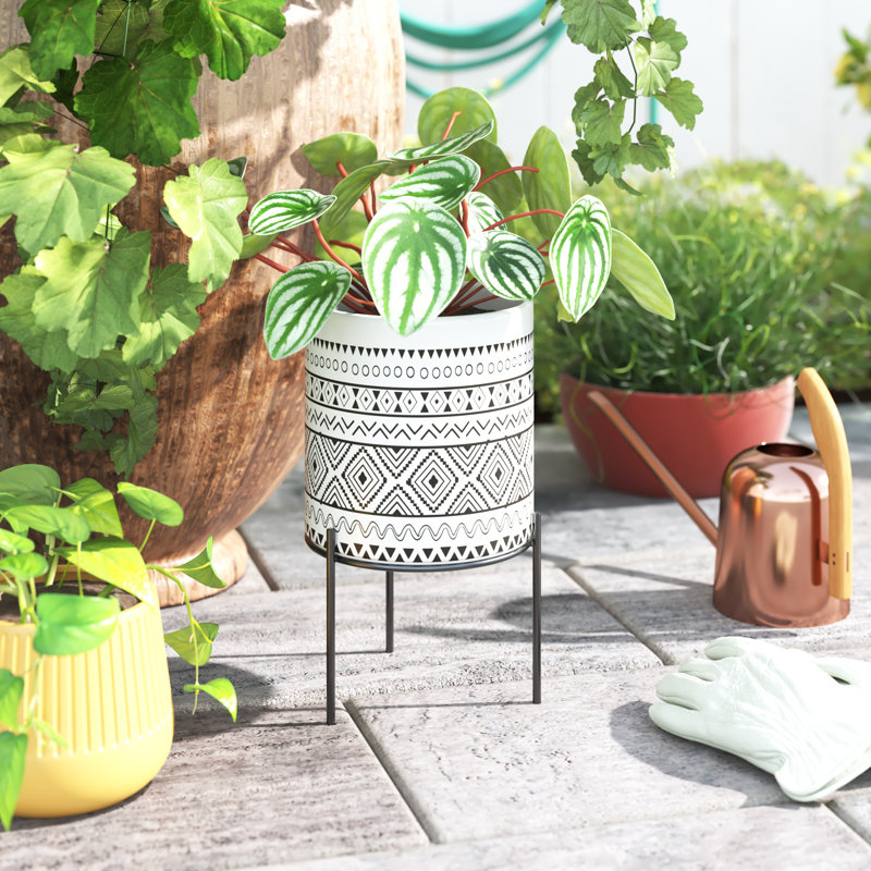 Digirolamo Ceramic Pot Planter, 25.5cm H x 13.5cm W x 13.5cm D