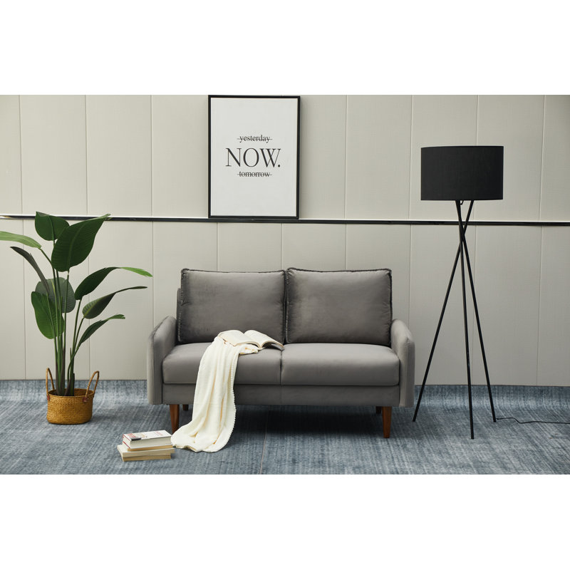 Emteas 57.3'' Velvet Loveseat, Gray Velvet