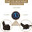 Upholstered Recliner-1721735274