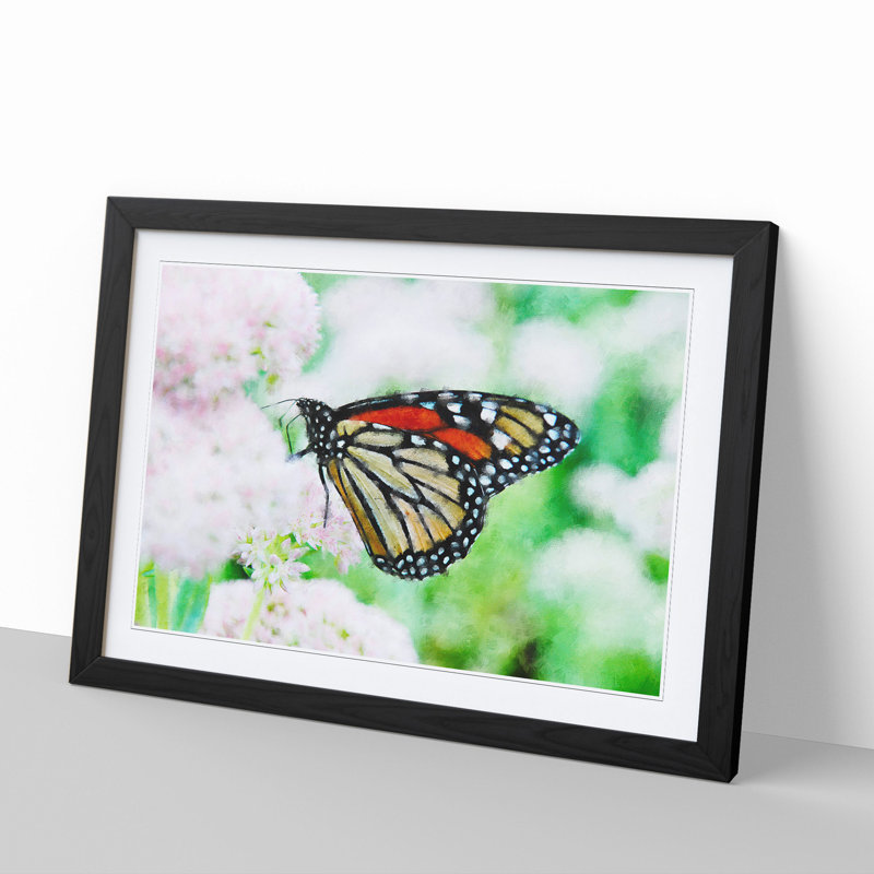 Monarch Butterfly - Picture Frame Graphic Art, 27cm H x 36cm W x 2cm D, Black